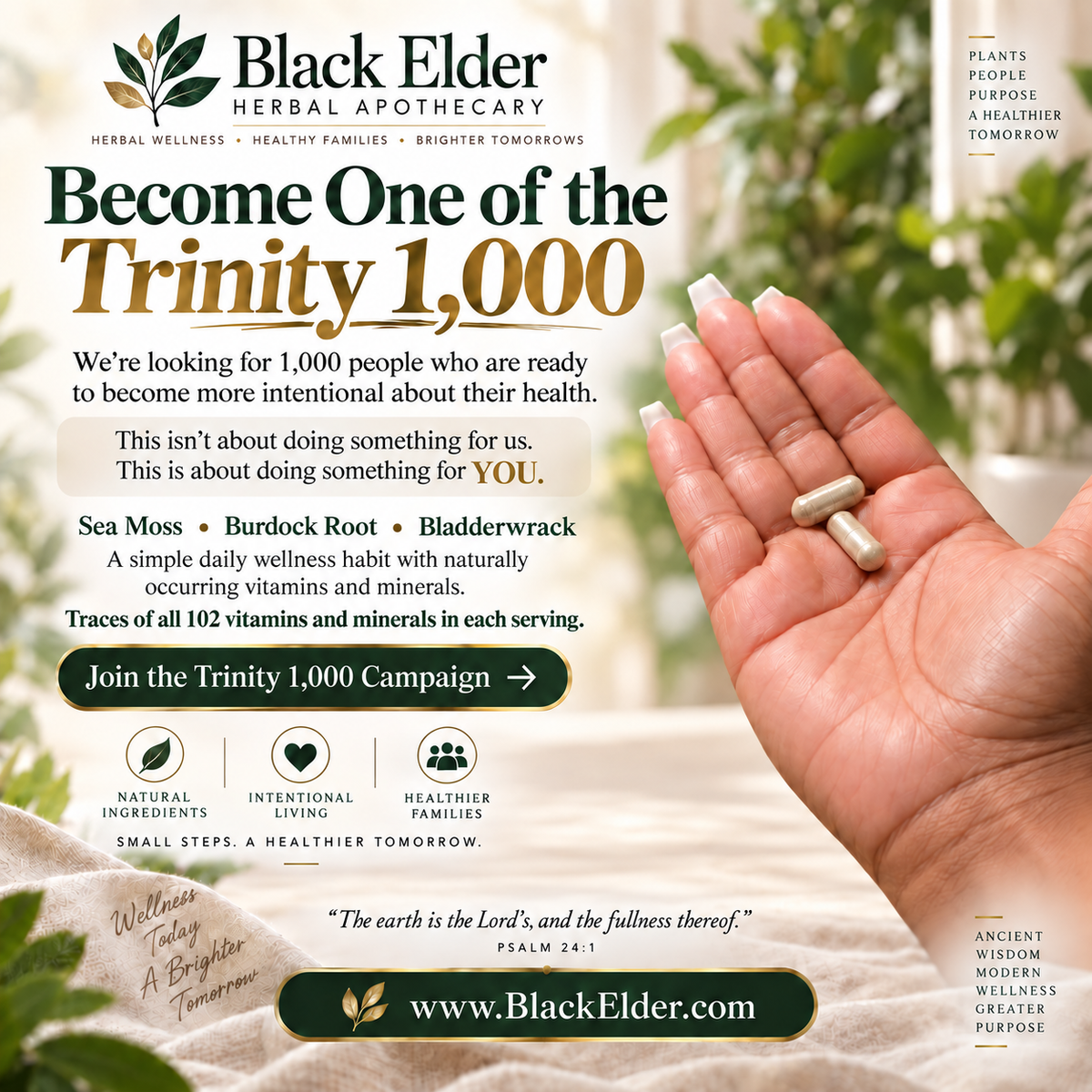 The Trinity: Natures Multivitamin