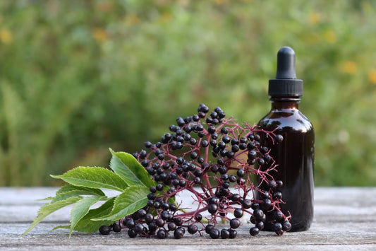 MulleinBerry Drops: Respiratory Care & Immunity Support