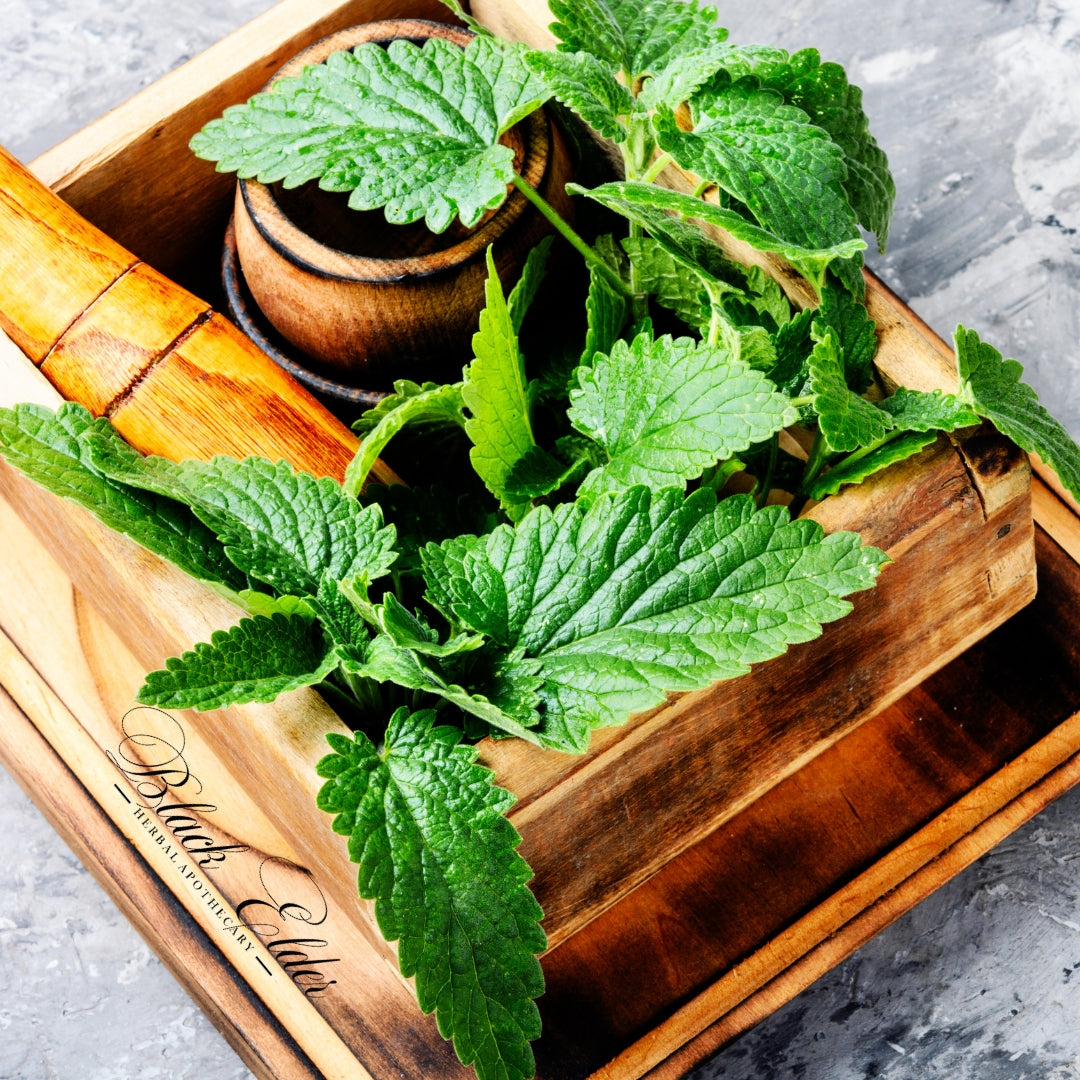 Lemon Balm Herbal Drops