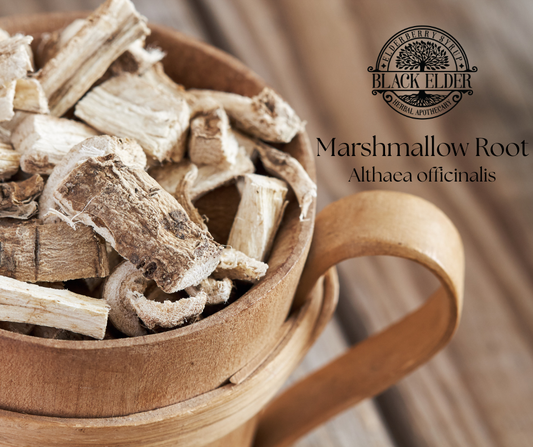 Marshmallow Root Drops