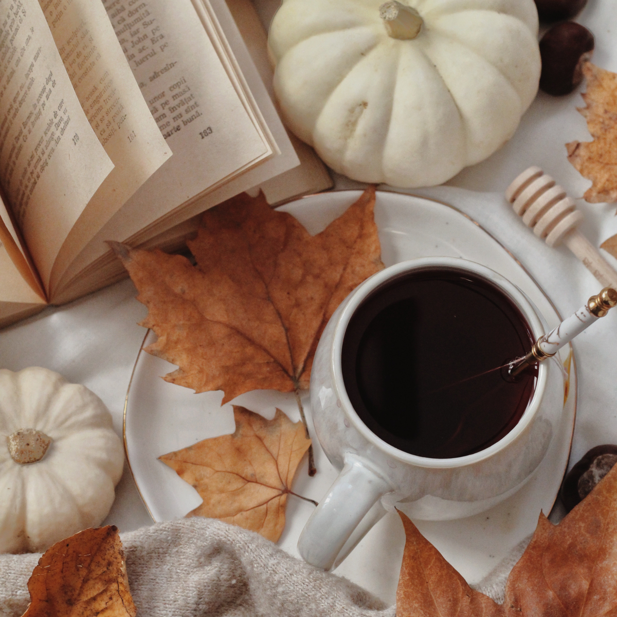 Elderberry Tea
