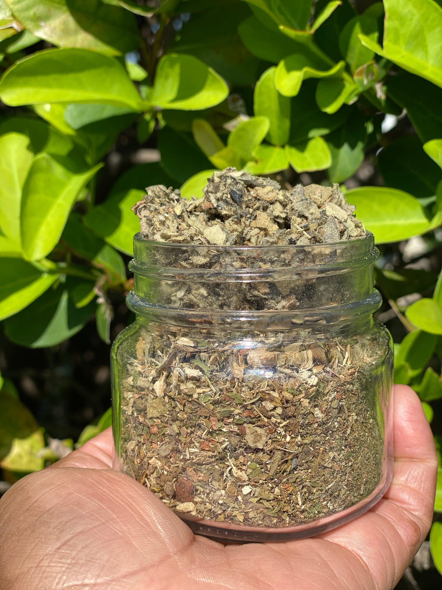 Breathe Respiratory Tea (LAST CALL)
